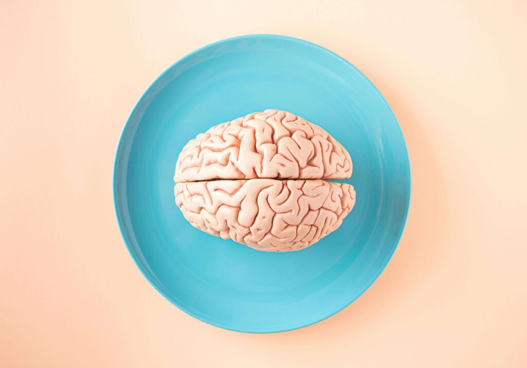 Brain on blue plate representing brain health